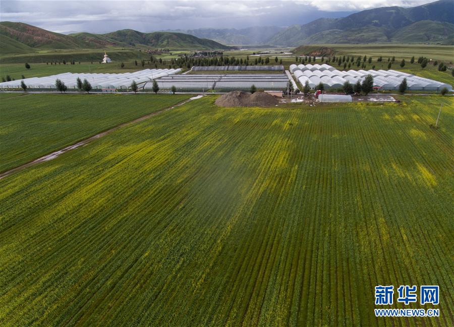 “飞针走线”“绣”出小康画卷——四川落实习近平总书记全国两会重要讲话精神纪实