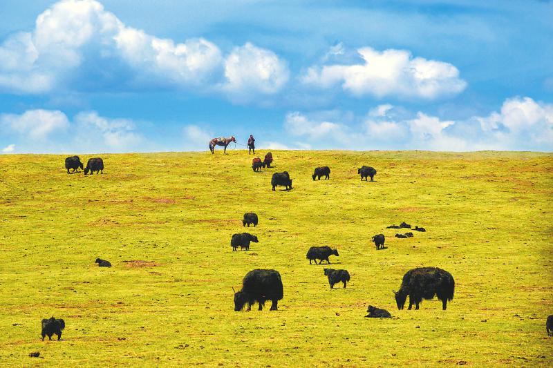 6aa899c46760b637c8c0b0fff5001785.jpg (800×533)