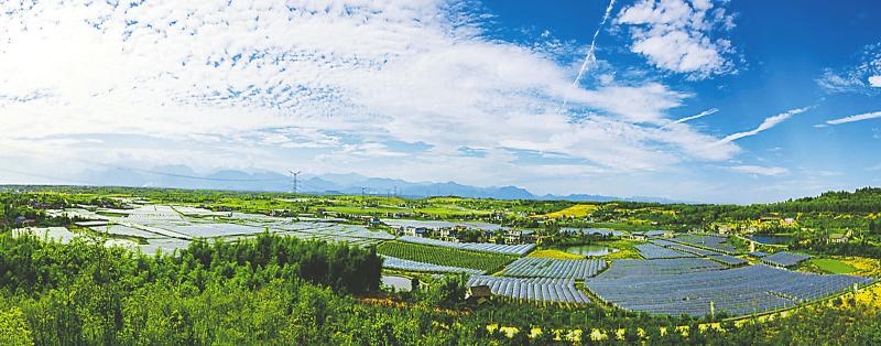 113214411bb75e4e4d32aea03d058735.jpg (800×314)