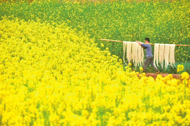 0dbecda5e0ebd8c00e97d2c10f4656bc.jpg (800×534)