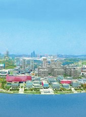 20190211四川日报图片