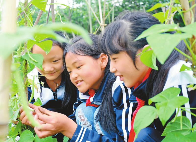 4b2ff6893a150edb568def816e1557ce.jpg (800×578)