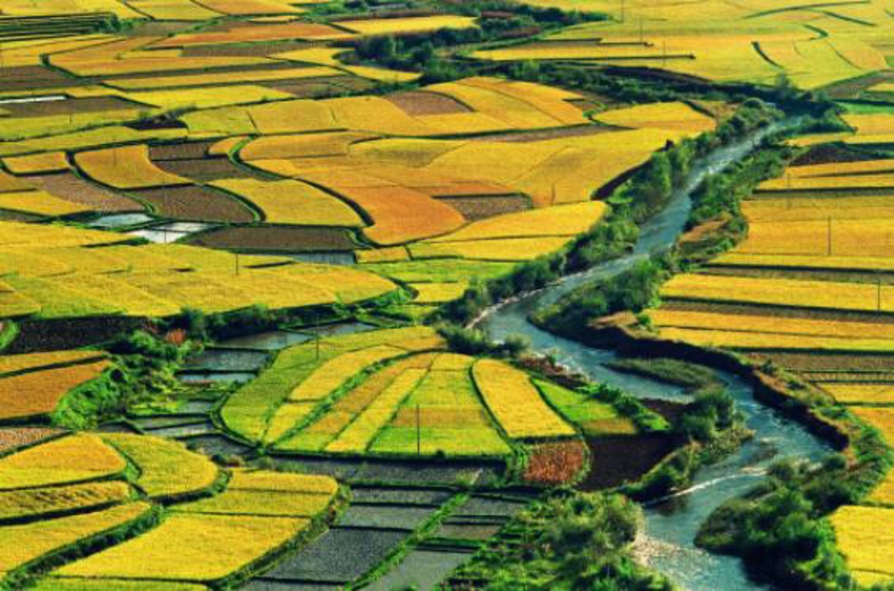 596ea8ecaf1740ec9c4701fac43e9682.jpg 596ea8ecaf1740ec9c4701fac43e9682.jpg