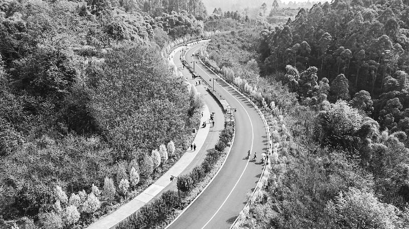 b21f9c05a914b12e7b50fa5bc08856b2.jpg (800×449)