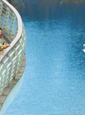 20190215四川日报图片