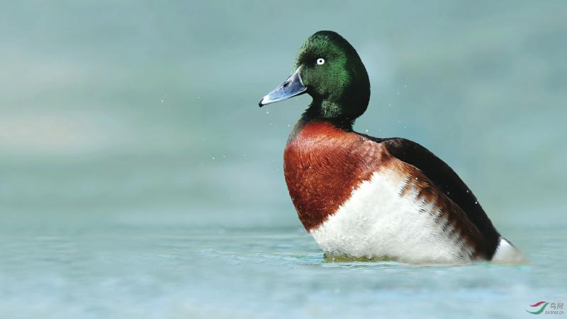 ea93c92ef19fe87c24df689d0c0d3237.jpg (800×451)