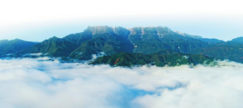 f2f81220bc0abd4aa01c13c848bcd522.jpg (800×355)