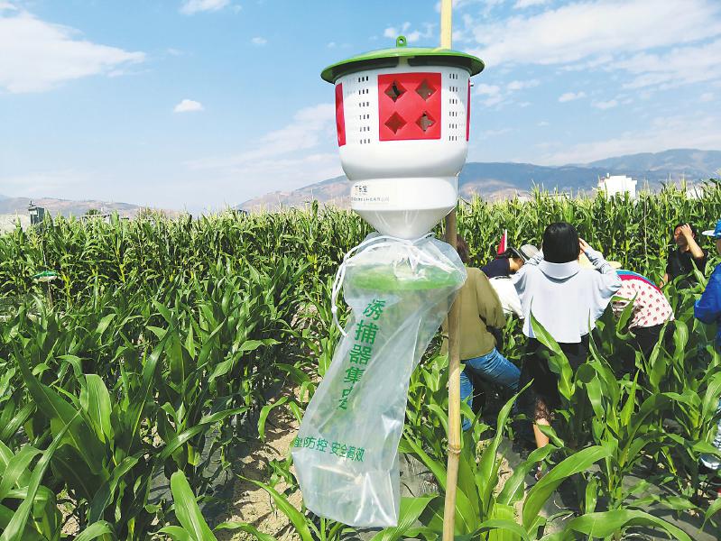 416e9535806723d6159d8a73c3a77a30.jpg (799×600)