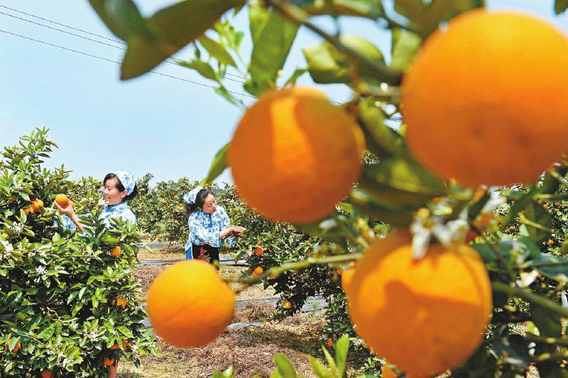 faade36892e96cb7c1f2d36956f0e351.jpg (800×533)