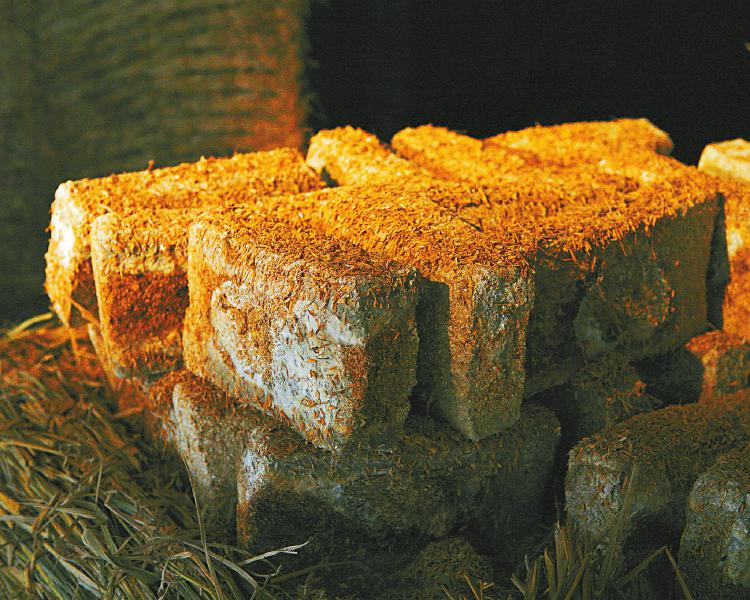 b268bf9c859ef524a75bb4577ef91573.jpg (750×600)