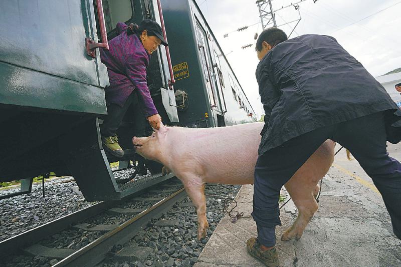 df04b9707d85c873927545c6cfbc8e9f.jpg (800×533)