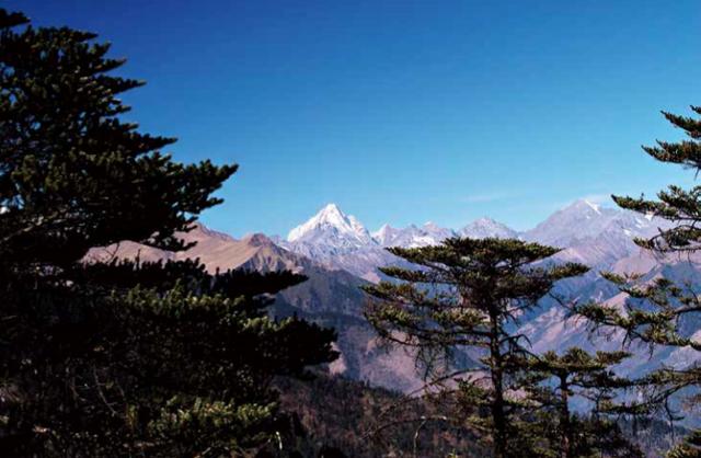 珍贵历史瞬间的定格——汶川地震志卷三:《图志》