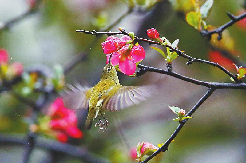 6e670882e2dc0d64498632e6eef5189d.jpg (800×530)