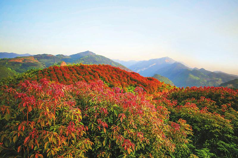 c8541a792b489408f5a5b4b0576d8141.jpg (800×533)