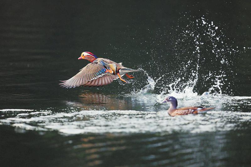 f2f71c9f365a3cc30bbc87fe19b911b8.jpg (800×533)