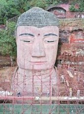 20190320四川日报图片