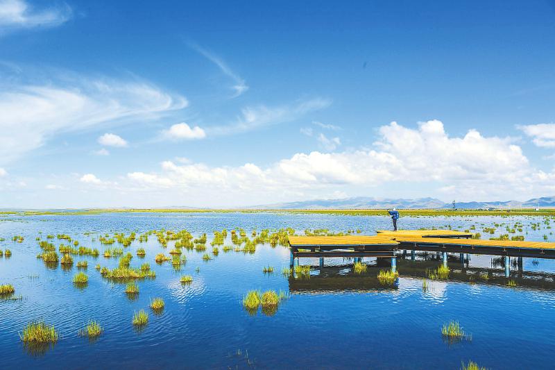 f43058557ac2f02766b521e5e0b1fedf.jpg (800×533)