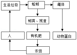 7d7436cc839c4372b805d2ec1cacbed0.Png