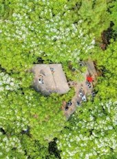 20190508四川日报图片