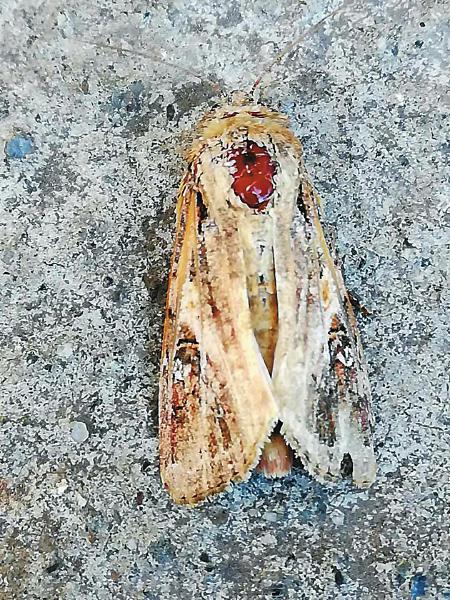 153d53a0098e090acf6bbb0d836b2ed1.jpg (450×600)