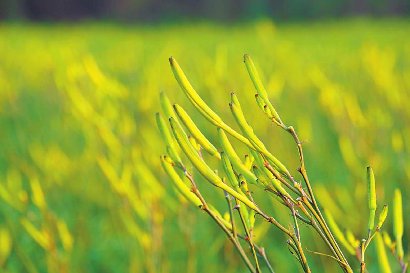 6ad57cfd5c0702c4f9d22ccdb4e587ee.jpg (800×533)