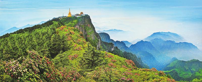 2f18df34d140eeb35d6e8d35c19ce45c.jpg (800×325)