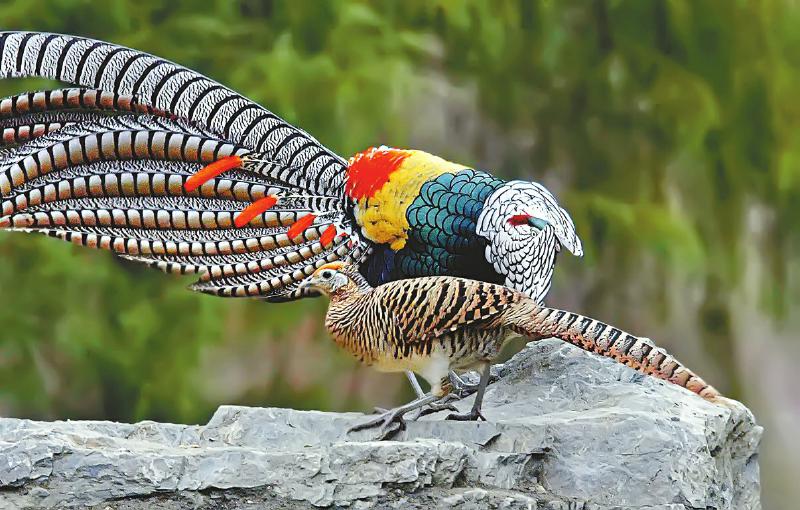 8f948e1fdeca6ebcbdd4349ca04630f1.jpg (800×510)