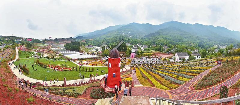 9b4d28d24f7ca73bee051461beb62bd3.jpg (800×352)