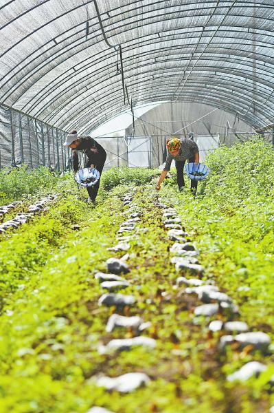 b7e5c325386a4ff7cfd860d056dd452f.jpg (399×600)