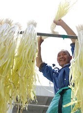 【方志四川•地理标志产品】唐元韭黄：鲜香嫩脆 黄白如玉