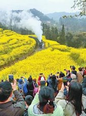 20190321四川日报图片