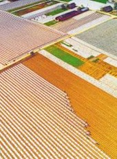 20190319四川日报图片