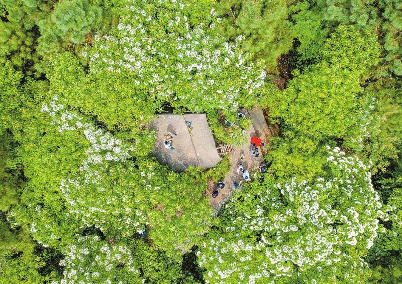 9a0f7185a4de13c87b45e39ce0819562.jpg (800×566)