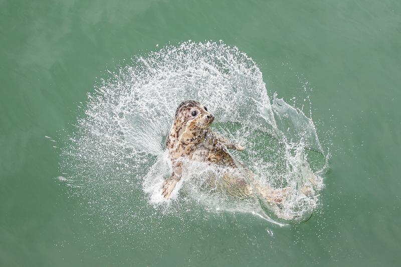 be1ded8722b4ff201a86c9ca540d3060.jpg (800×533)