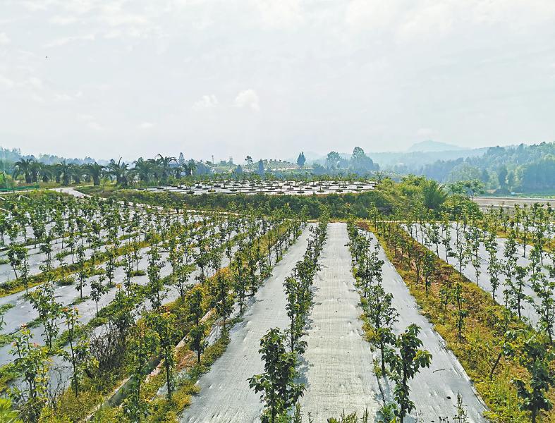 442a362ab8c3eceb30affe0843016698.jpg (787×600)