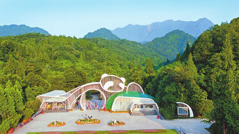 175a2230032f2369dafd6962487ca4c2.jpg (800×450)