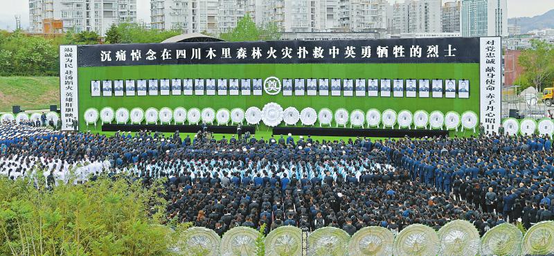 5c37856bb6e62c5c729e0ca04eaea12c.jpg (800×370)