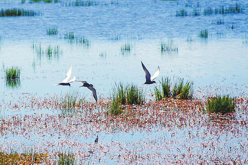 51e4a69123be51d4ef7e088bd0faf8fa.jpg (800×533)