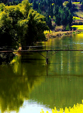 【光绪】《盐亭县续志》（四卷•首一卷）