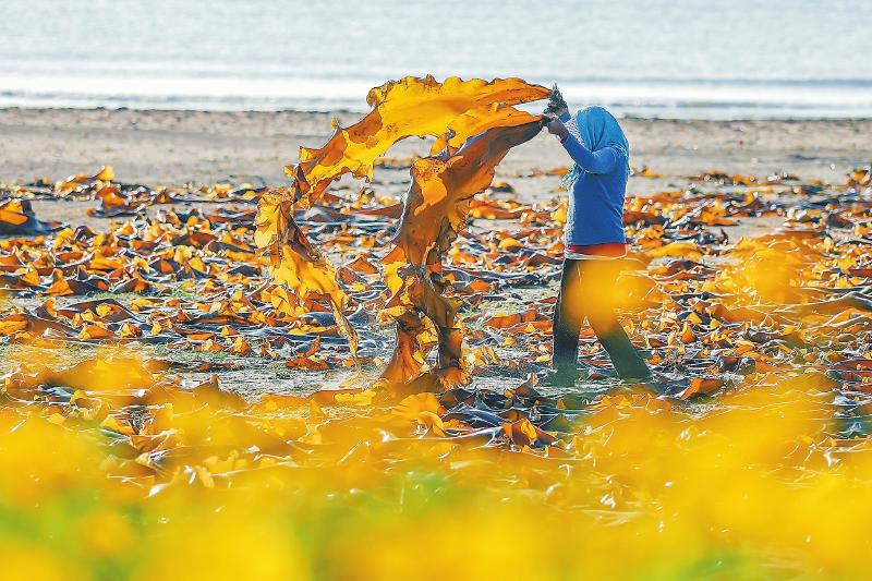 0cbebc47145e71dec541065dca5e83c5.jpg (800×533)