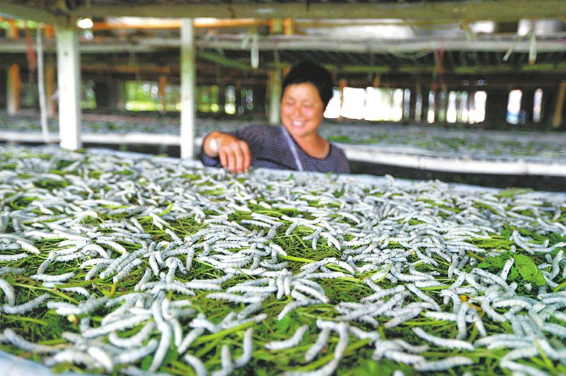 f0befc24b099abf7213123f130d78970.jpg (800×532)