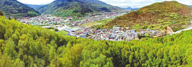 7d306095c47251722e57d9acd0d996f2.jpg (800×282)