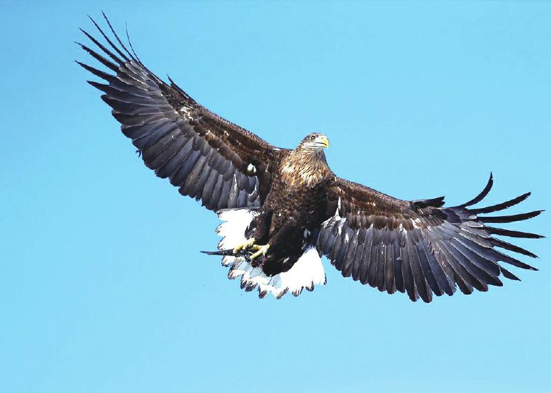 3b271a3305222ecd23d5316e16280b0a.jpg (800×571)