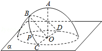 c83eb14efc304ff19bdeef85b9192c13.Png