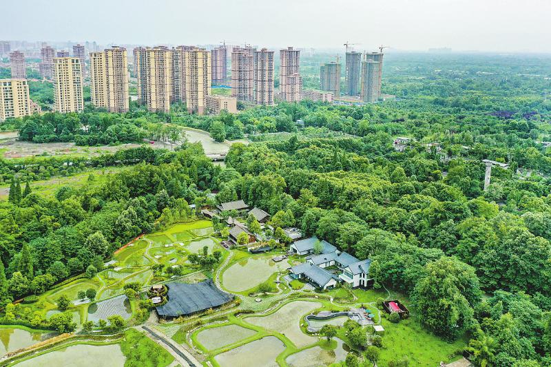 8a96c96b986cf59cba2c2db850d09dd9.jpg (800×533)