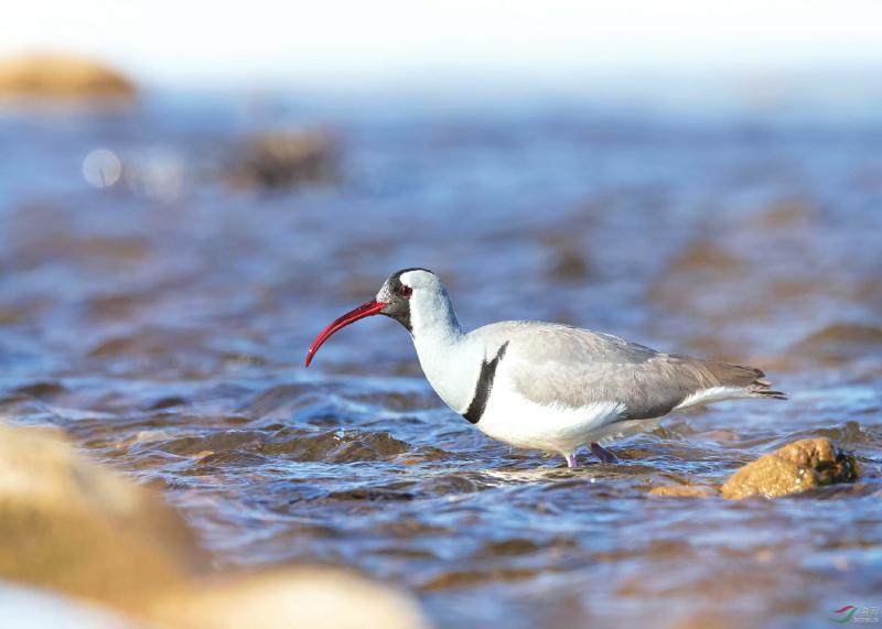 283247e11070beb12c43e8a3330f6685.jpg (800×571)