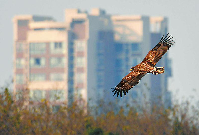 5b475cabb44f43e80797127c07cbcbd0.jpg (800×541)