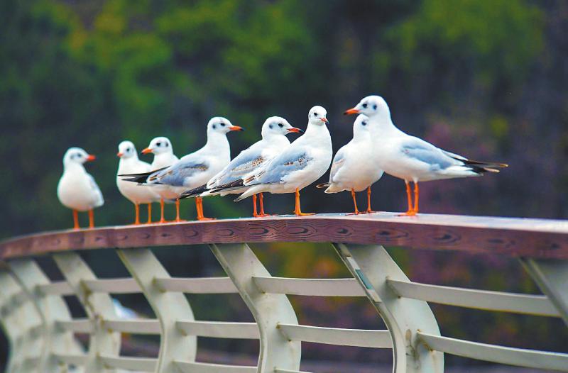 fa777a15d0f59789f6b08dab81fbc108.jpg (800×526)