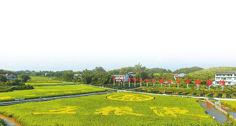 058a66649abfa8ca67b8556772c7c065.jpg (800×429)