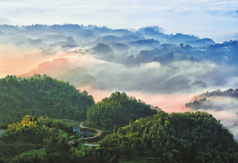 f163cdf90dcfb3ada80b73f75ce63f53.jpg (800×549)